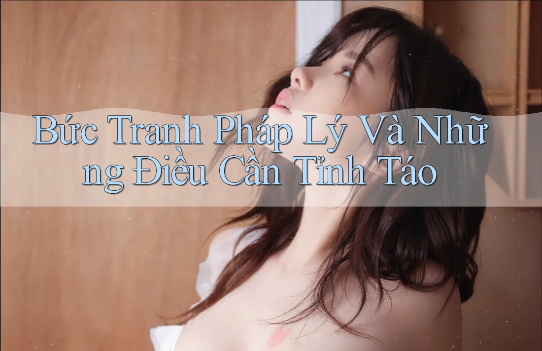 Bức Tranh Pháp Lý Và Những Điều Cần Tỉnh Táo Bức Tranh Pháp Lý Và Những Điều Cần Tỉnh Táo