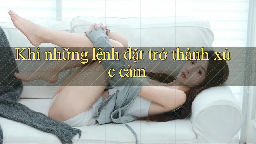 Khi những lệnh đặt trở thành xúc cảm