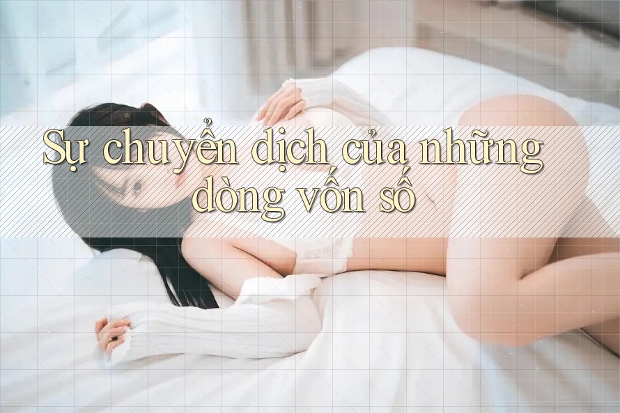 Sự chuyển dịch của những dòng vốn số Sự chuyển dịch của những dòng vốn số