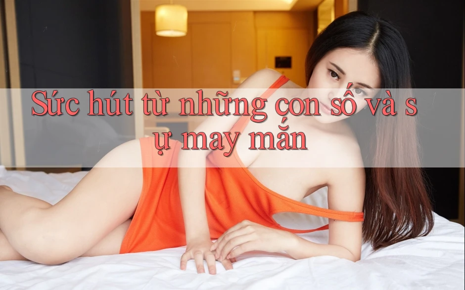 Sức Hút Từ Những Con Số Và Sự May Mắn Sức Hút Từ Những Con Số Và Sự May Mắn